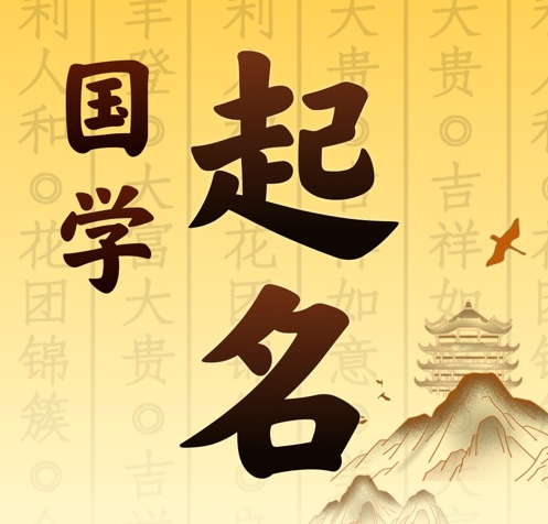 雁塔国学起名 人工起名一对一